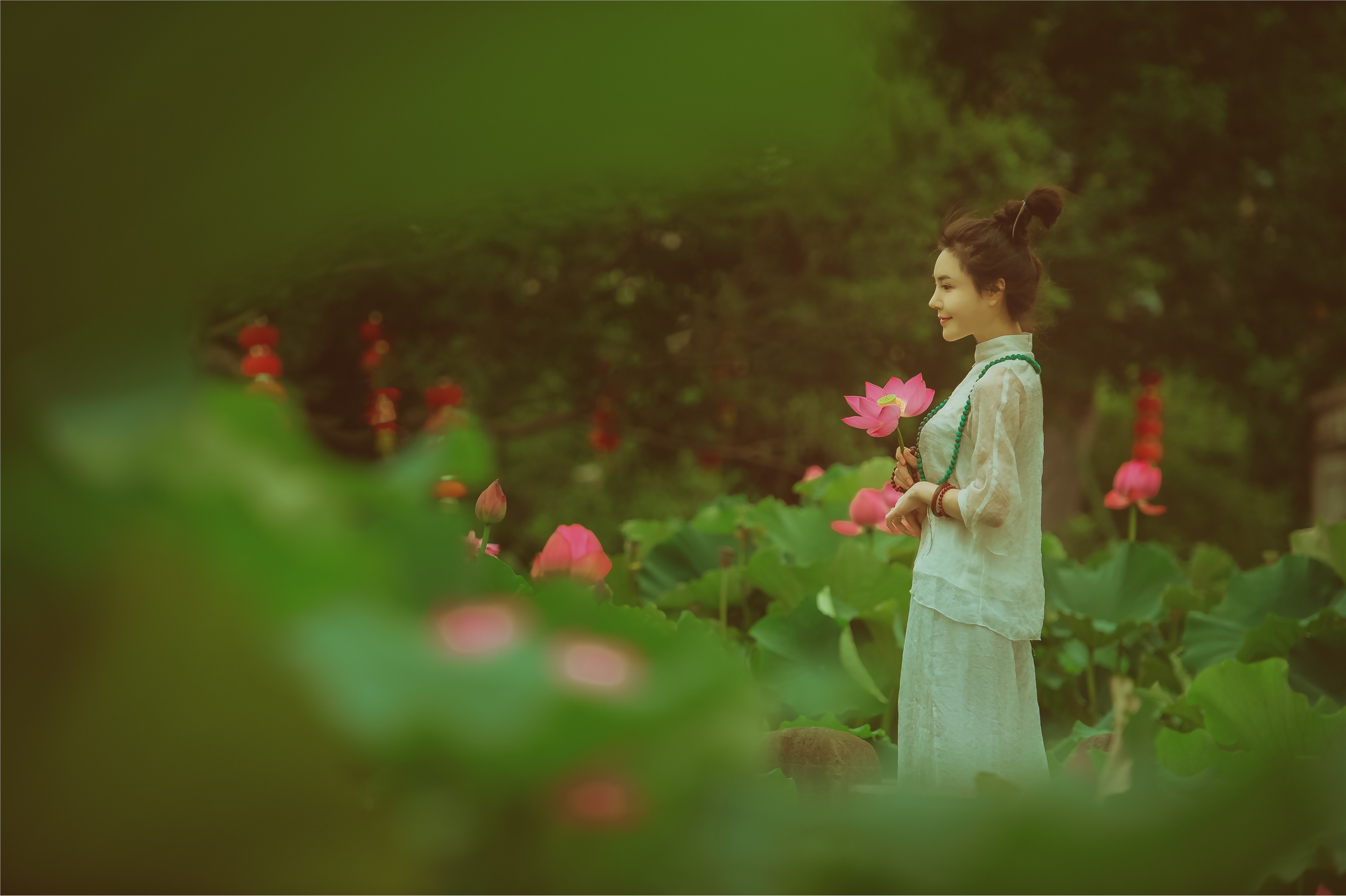 YITUYU艺图语 2021.08.14 赏荷记 颗颗树